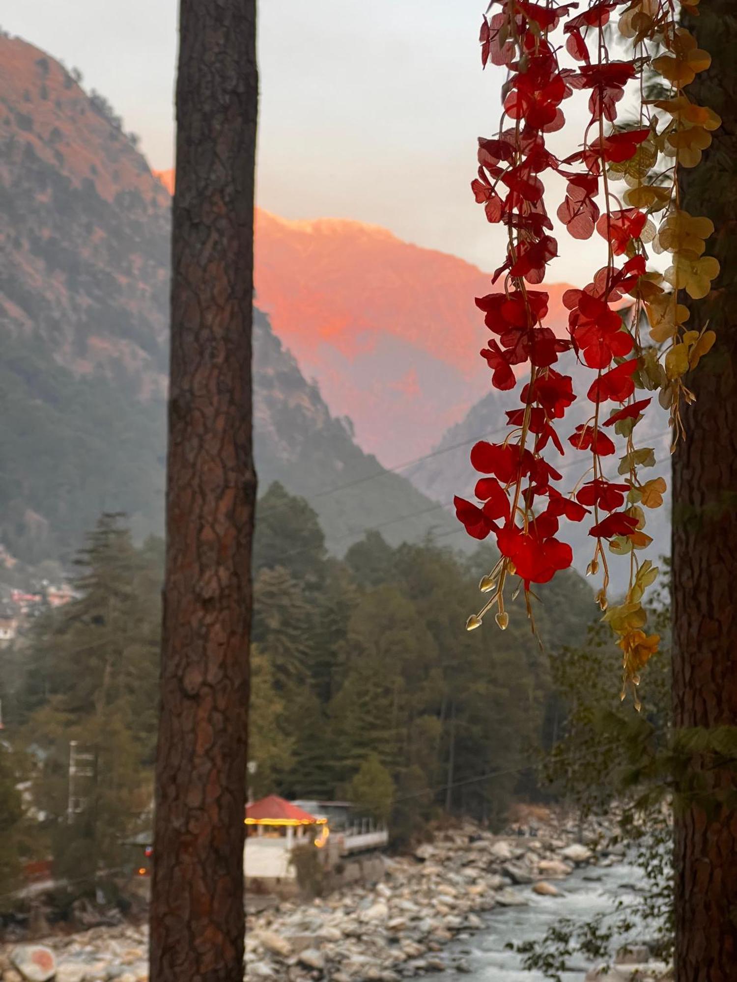Ahava Kasol Riverside Cafe And Cottages Ngoại thất bức ảnh